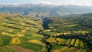 Terraced Fields Vista