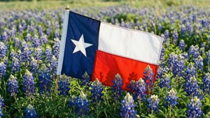 Texas Flag and Bluebonnets