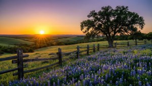 Texas Hill Country Sunset