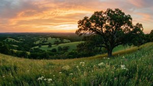 Texas Hill Country Sunset