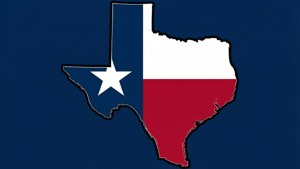 Texas State Outline Flag