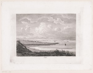 Texel