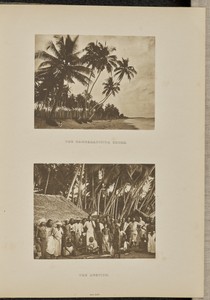The Auction