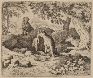 The Badger Goes to Warn Reynard