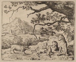 The Badger Sent as Messenger