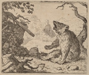 The Bear Sent as Messenger