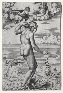 The Birth of Venus