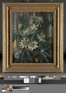 The Blue Passion Flower, for Robert John Thornton’s Temple of Flora (London, 1799–1812)