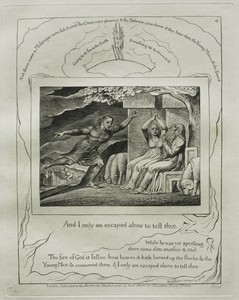 The Book of Job:  Pl. 4, And I only am escaped alone to tell thee