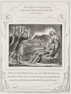 The Book of Job:  Pl. 7, And when they had lifted up their eyes