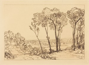The Bridge in Middle Distance