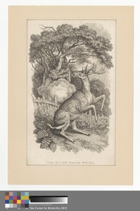 The Buck's Death Wound