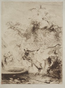 The Bull
