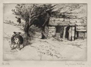 The Cabin