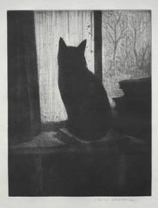 The Cat