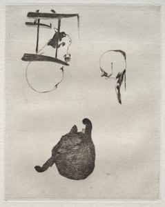 The Cats