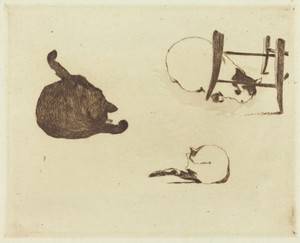 The Cats (Les chats)