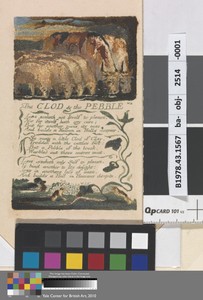 The Clod & the Pebble (Plate 36)