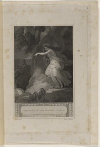 "The Columbiad" -- The Rape of the Golden Fleece