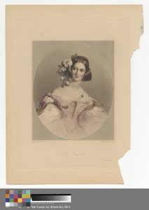 The Coquette
