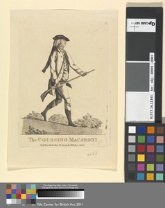 The Coursing