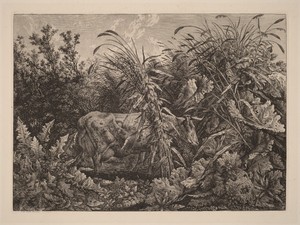 The Cow in the Swamp