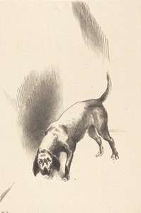 The Dog