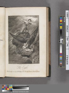 The Eagle