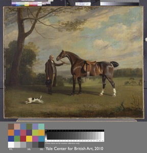 The Earl of Shrewsbury's Groom Holding a Hunter