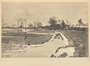 [The Edge of the Broad]