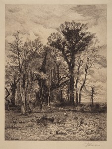 The Edge of the Swamp