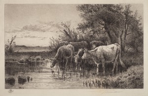 The Evening Hour