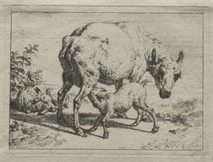 The Ewe and Two Lambs