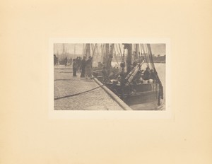 The First of the Herring