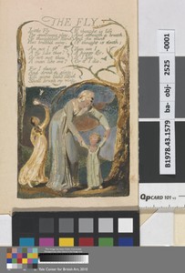 The Fly (Plate 48)