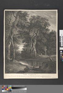 The Forest
