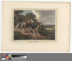 The Fox Hound