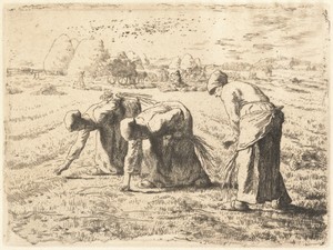 The Gleaners (Les Glanenses)