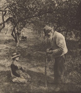 The Grafter