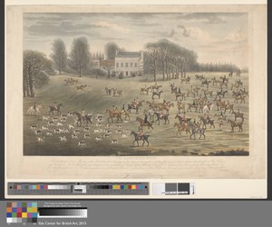 The Hampshire Hunt