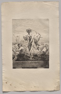 The Harvests
