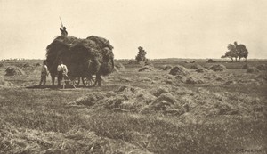 The Haysel