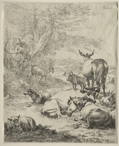 The Herd at Rest