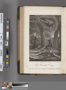 The Hermit's Dog