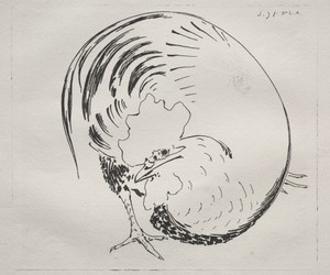 The High-Fired Service: Rooster (counterproof)