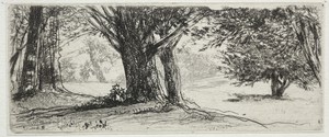 The Holly Field
