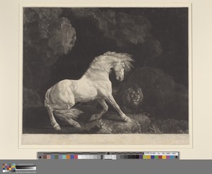 The Horse and Lion