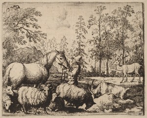 The Horse and the Stag