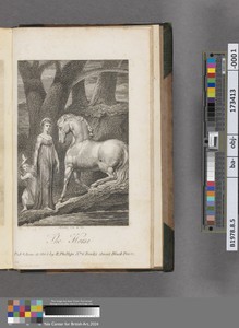 The Horse