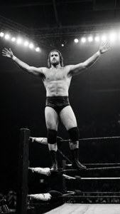 The Iconic Pose
